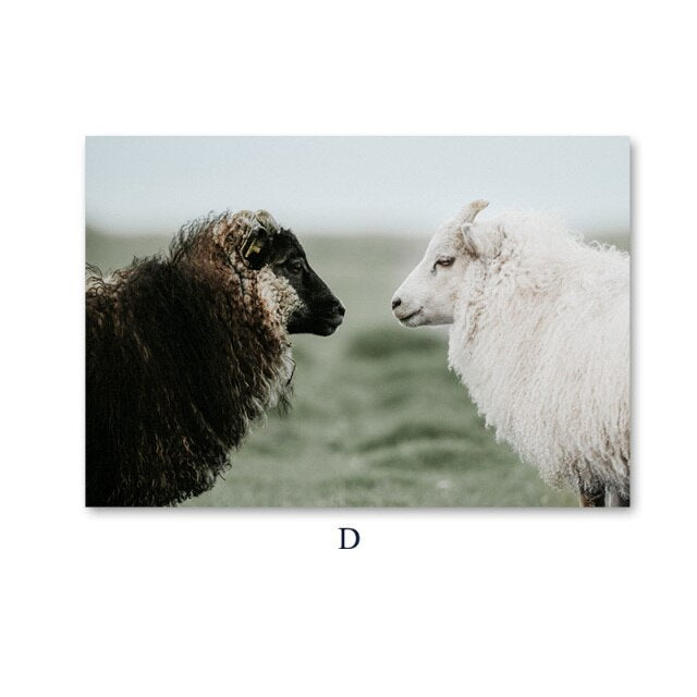 Alpaca Llama Sheep Animal Poster Nordic Style Canvas Print Scandinavian Art Painting Wall Picture for Modern Living Room Decor