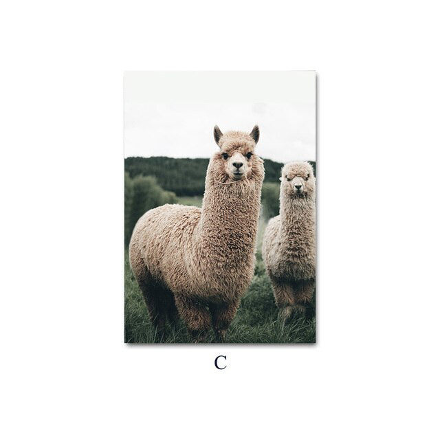 Alpaca Llama Sheep Animal Poster Nordic Style Canvas Print Landscape Art Painting Wall Picture for Modern Living Room Decoration