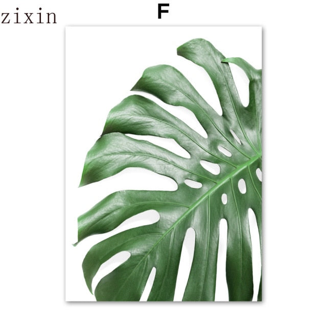Green Plant Monstera Aloe Palm Leaf Wall Art Canvas Painting Tropical For Living Room Nordic Posters And Prints Wall Pictures