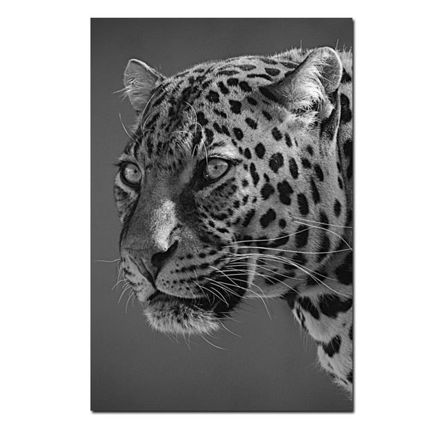 Canvas Modular Rhinoceros And Animals Poster Black and White