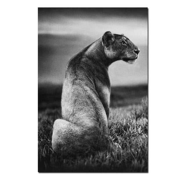 Canvas Modular Rhinoceros And Animals Poster Black and White