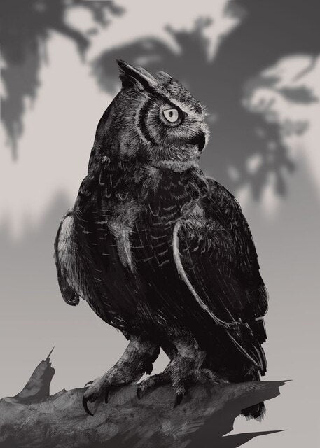 Flying Eagle Owl Wall Art